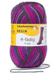 Regia Colour Sock Yarn 4ply 1839