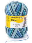 Regia Colour Sock Yarn 4ply 3729