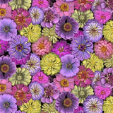 Flower Power - Clothworks